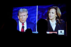 Harris vs Trump: ‘Catching kitties and puppies for lunch’